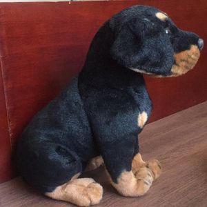 soft toy dog