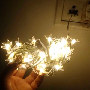 Brand New Flowers Led Series For Decoration | 40Fe