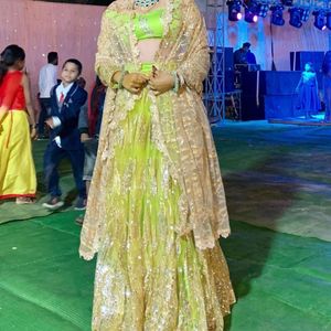 Parrot Green Lehenga