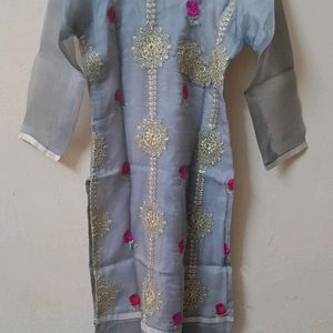 Organza Salwar Suit