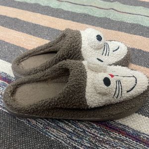 Winter Slides/slippers