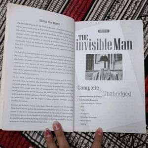 The Invisible Man Novel