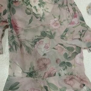 SASSAFRAS Floral translucent Peplum Top