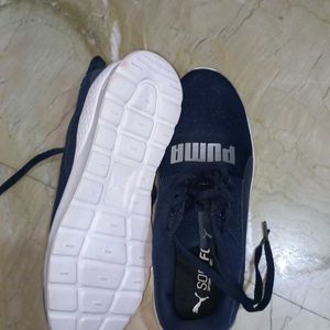 Brand New Original Puma Shoes