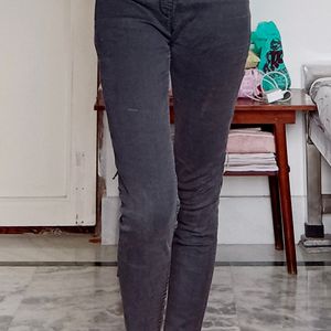 Branded Low Waist Jeans