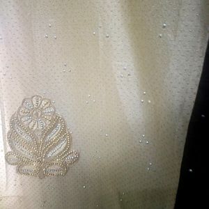 Brown Colour Saree With Cream Net