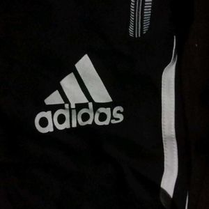 Adidas Track Pant