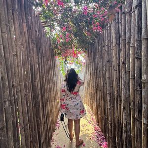 A Beautiful Floral Dress