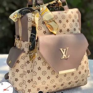 Loius Vuitton Backpack/ Handbag