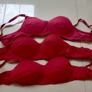 Combo 3 Brand New Padded Bra