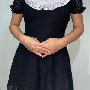 Ruffled Collar Mini Lace Dress