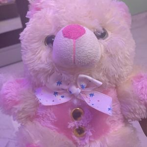 🎀Teddy Bear Pink🎀