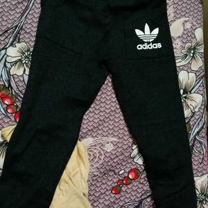 Legging And Track Pant