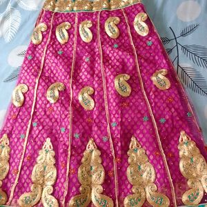 Beautiful Heavy Embroided Lahanga Choli