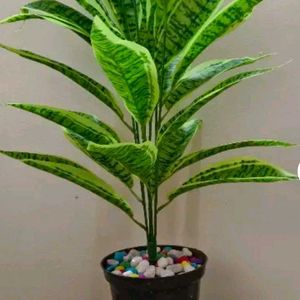 Artifical Home Decor Plant