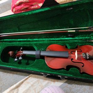 Violin