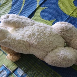 Soft Toy For Kids