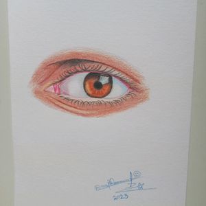 Colour Pencil Drawing