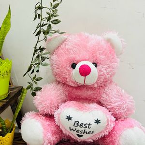 Teddy Bear Soft Toy