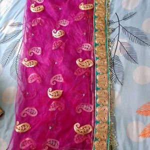 Beautiful Heavy Embroided Lahanga Choli