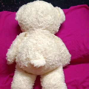 Imported Bear Soft Toy