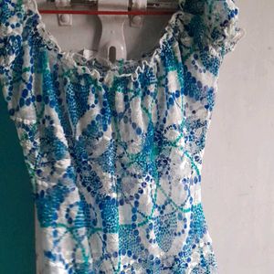 Embroidery Lace Dress