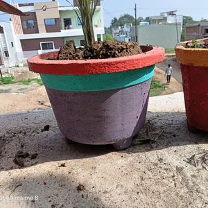 Cement Flower Pot (Gamla)