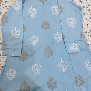 Sky Blue Tunic /Top