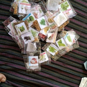 Indian Vegetables & Fruits Seeds Bank