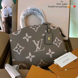 LV Bag