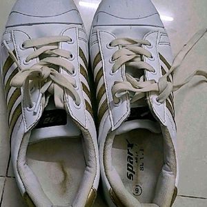 Brand Sparx Canvas Shoes