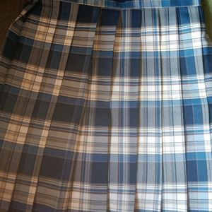 Korean Skirt Brand New