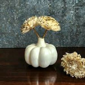 pumpkin Vase