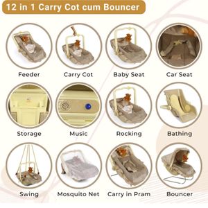 12 In 1 Carry Cot Cum Bouncer