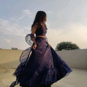 Organza Ruffle Lehenga