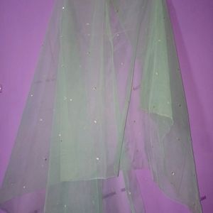 Green Net Dupatta