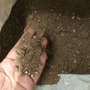 Compost Soil Good For Plants