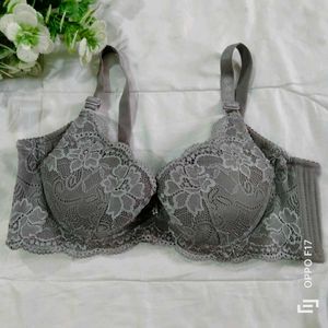 Gray Fancy Net Bra Panty Set