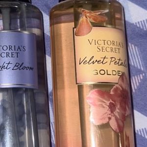 VS Velvet Petals Golden