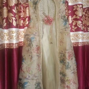 Beautiful Organza Beige  Printed Gown