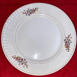 Dinner Plate