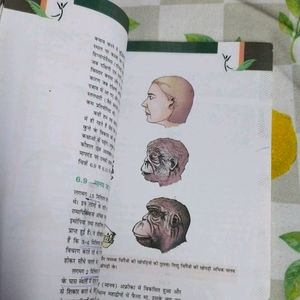 Ncert Biology Book , Class12 (23-24)