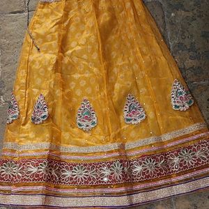 Net Ethnic Choli