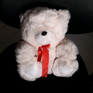 New Teddy bear