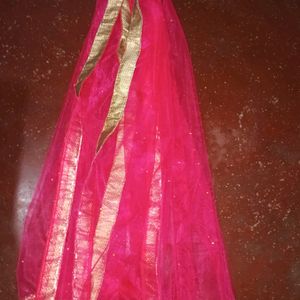 Lehenga Skirt and shaul