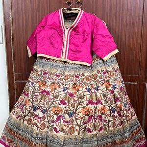 Ghaghra Choli/ Lehenga - Long Flare Skirt