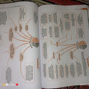 Oswaal sample Paper