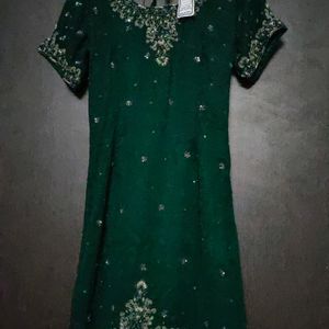 Green  Embellished Chiffon Suit