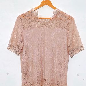 VANSA Lace Short Sleeves Top