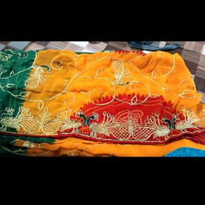 Multi Colour Saree Embroid Totally No Blouse